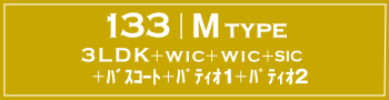 M TYPE 3LDK+WIC+WIC+SIC+バスコート+パティオ1+パティオ2