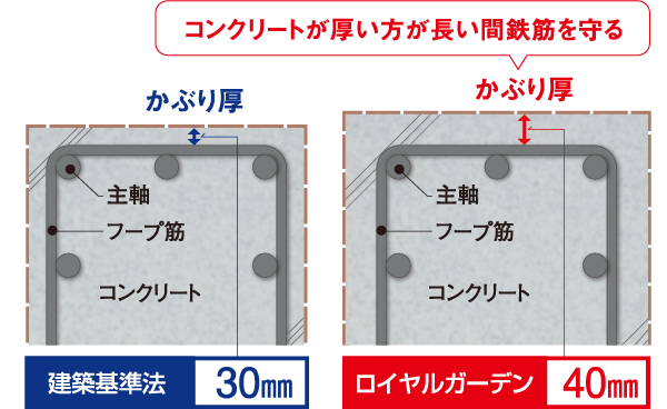 鉄筋かぶり厚図